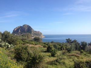 IMG_1092