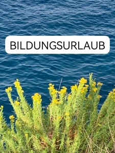 bidungsurlaub2024